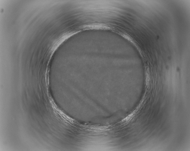 X0000053060983200508081149