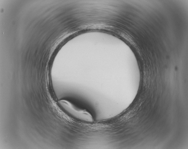 X0000053060984200508081149