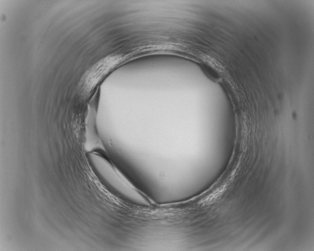 X0000053060985200508081149