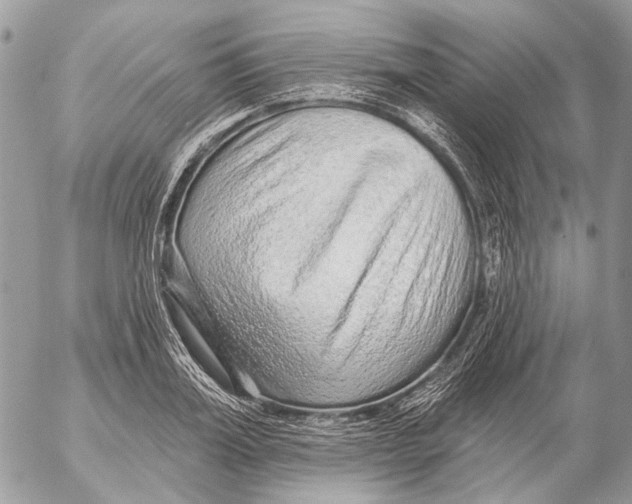 X0000053060987200508081149