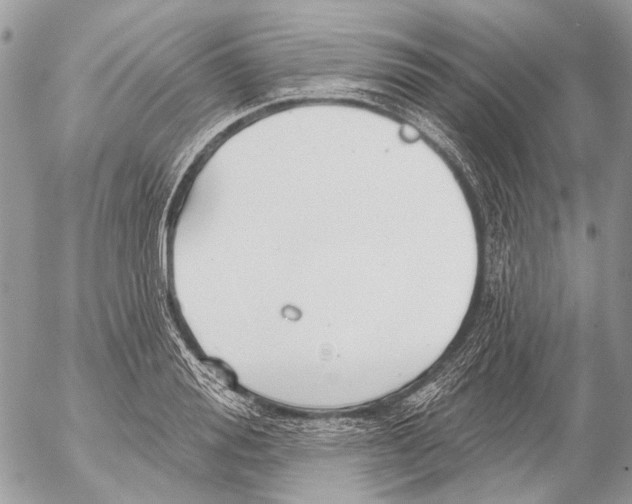 X0000053060988200508081149