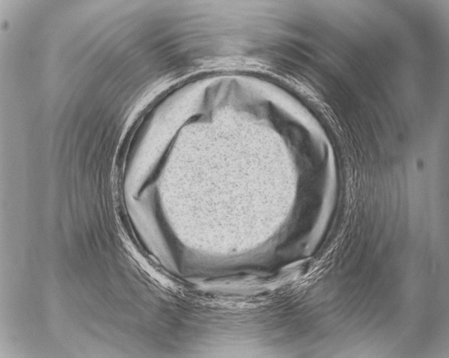 X0000053060990200508081149