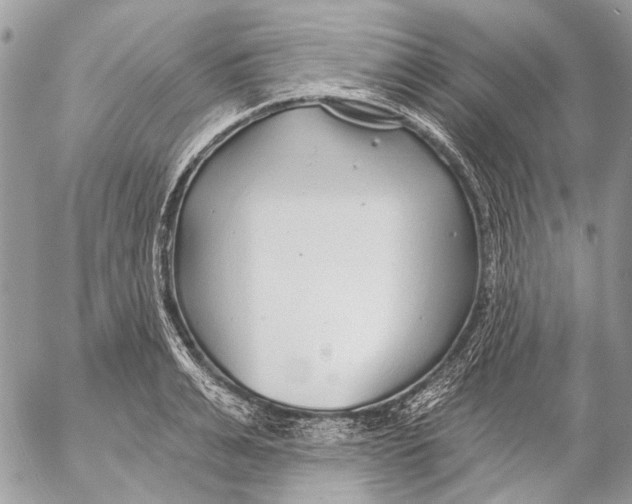 X0000053060991200508081149