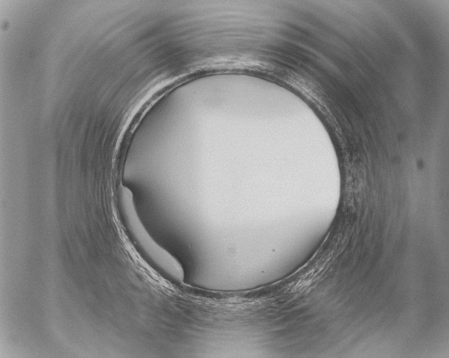 X0000053060992200508081149