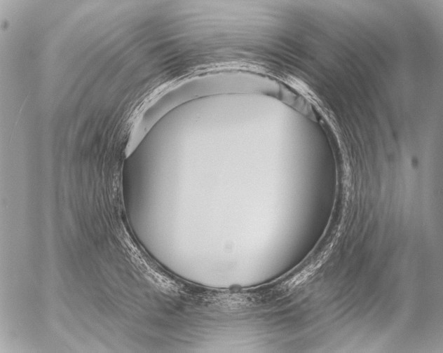 X0000053060993200508081149