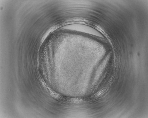 X0000053060994200508081149