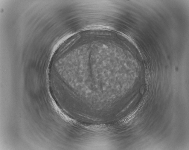 X0000053060995200508081149