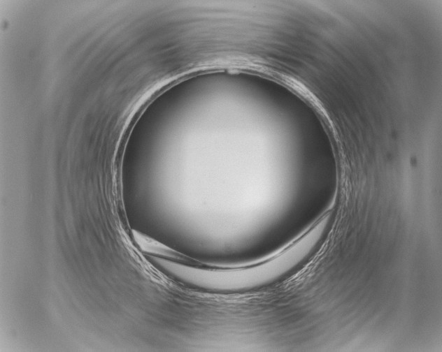 X0000053060996200508081149