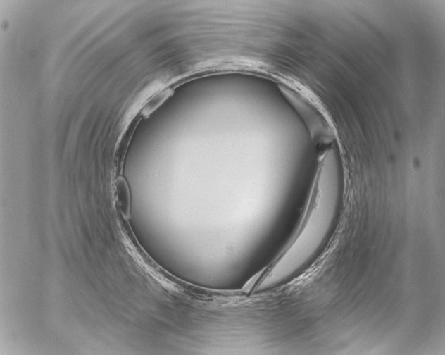 X0000053060997200508081149