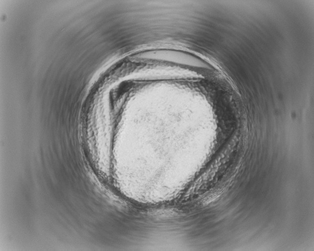 X0000053060998200508081149