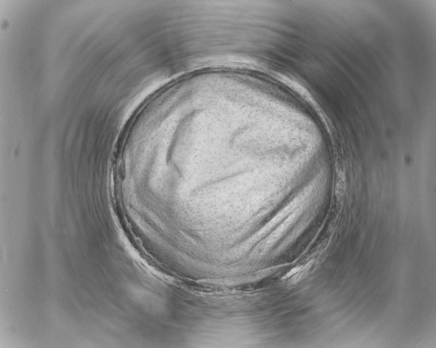 X0000053060999200508081149