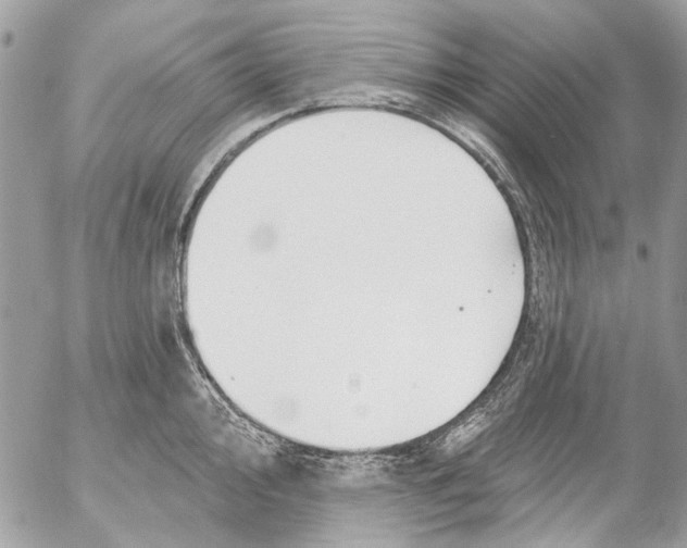 X0000053061000200508081149