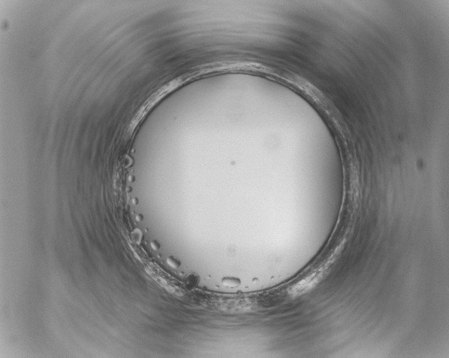 X0000053061001200508081149