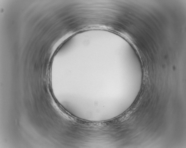 X0000053061003200508081149