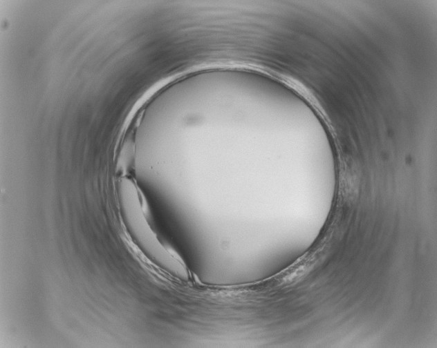 X0000053061004200508081149