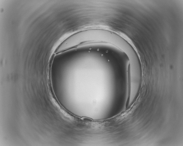 X0000053061005200508081149