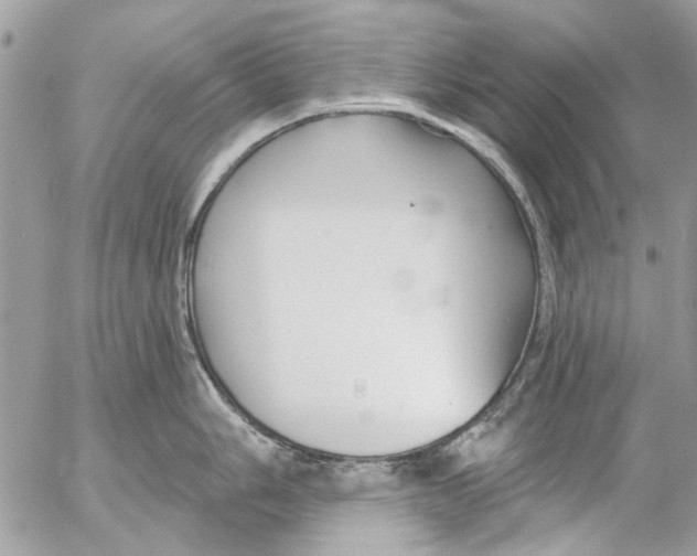 X0000053061006200508081149