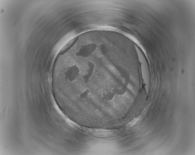 X0000053061007200508081149