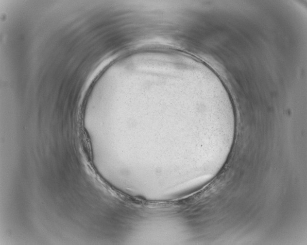 X0000053061008200508081149