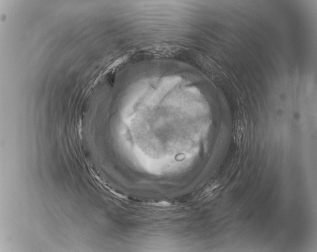 X0000053061010200508081148