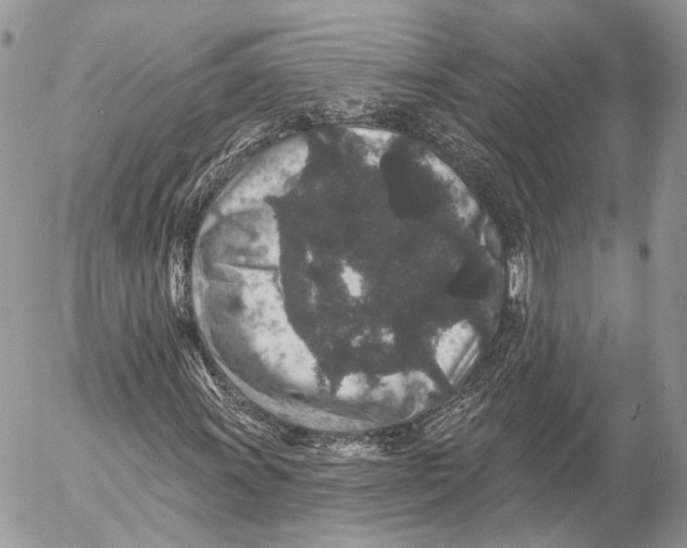 X0000053061011200508081148