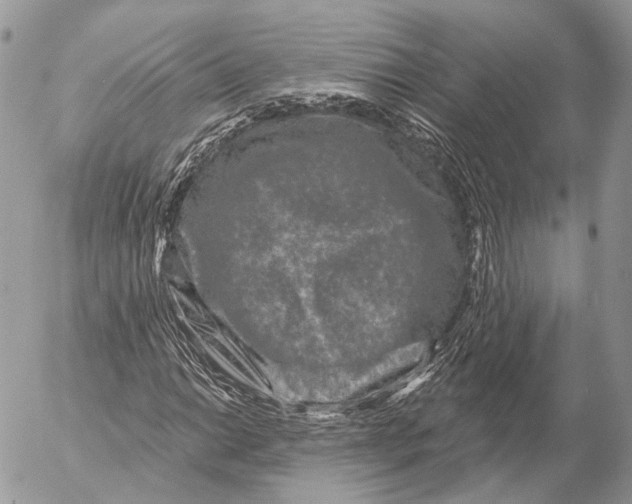 X0000053061014200508081148