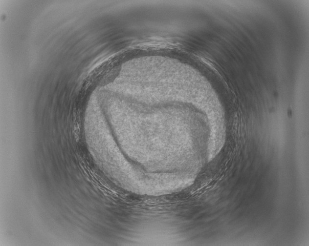 X0000053061015200508081148