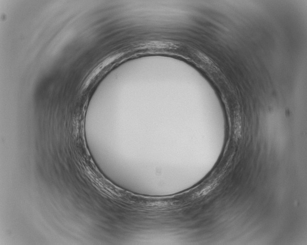 X0000053061017200508081148