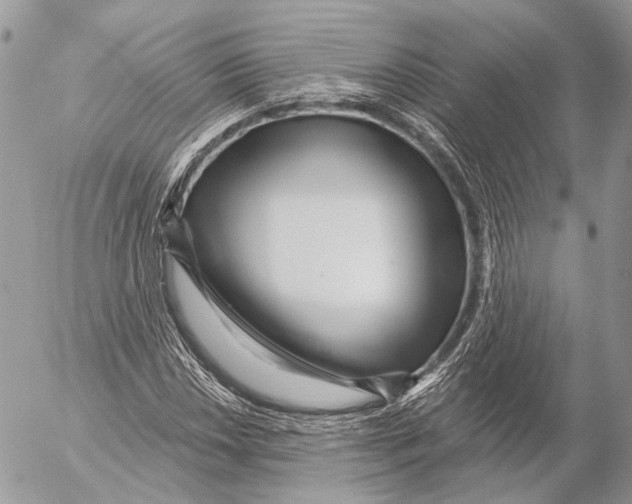 X0000053061018200508081148