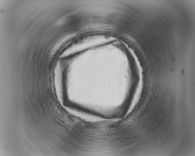 X0000053061019200508081148