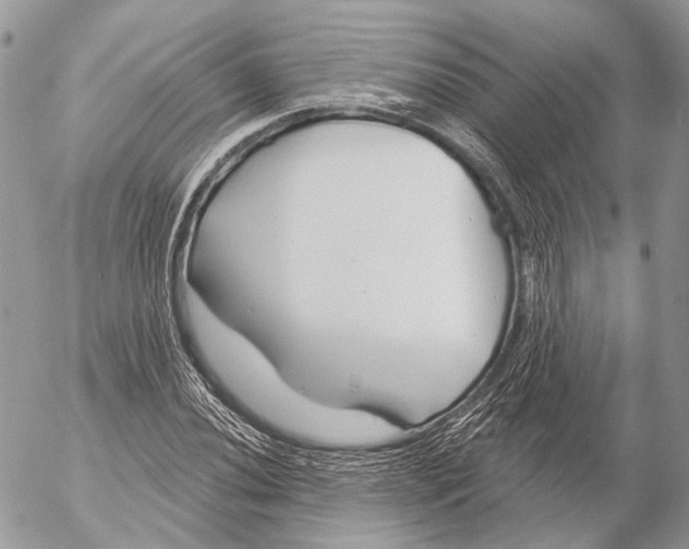 X0000053061020200508081148