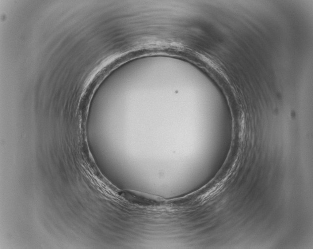 X0000053061021200508081148