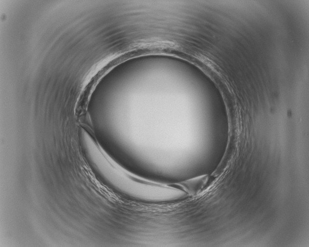 X0000053061022200508081148