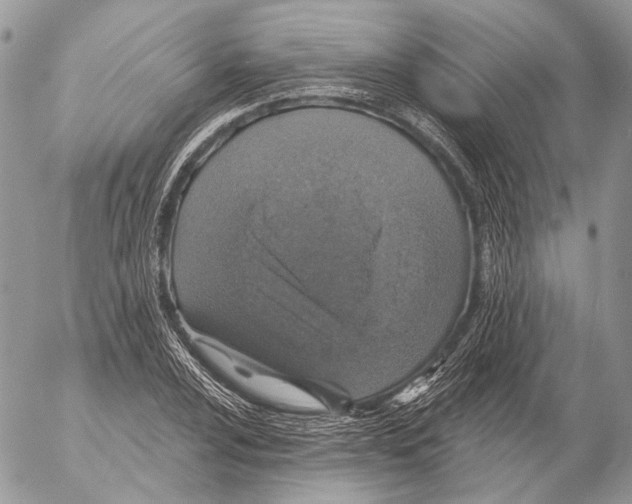 X0000053061024200508081148