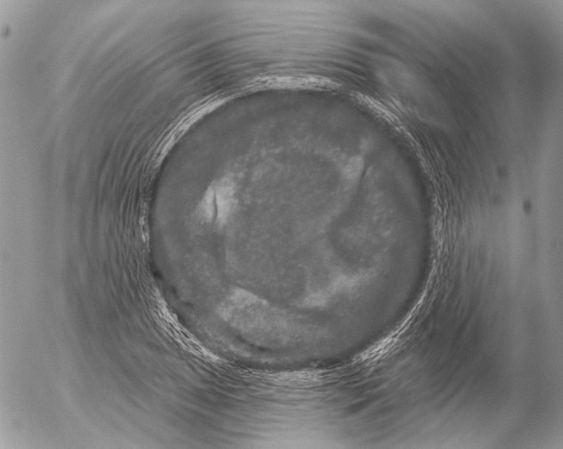 X0000053061025200508081148