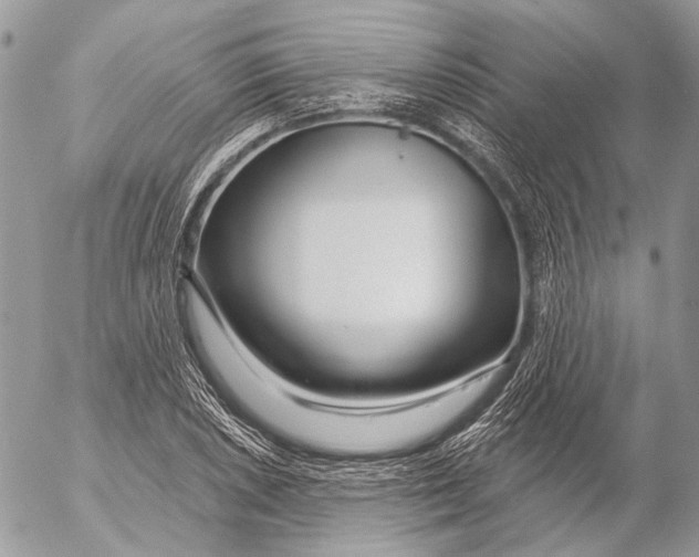 X0000053061026200508081149