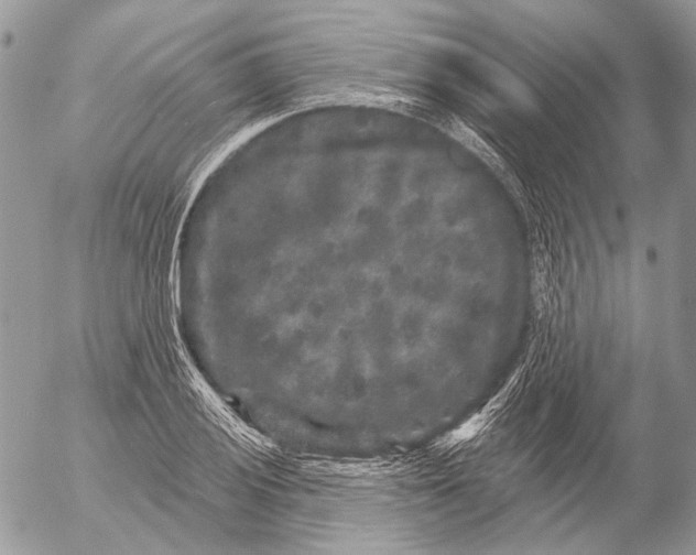 X0000053061028200508081149