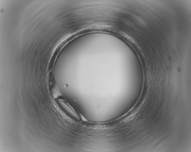 X0000053061029200508081149