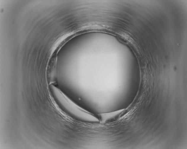 X0000053061030200508081149