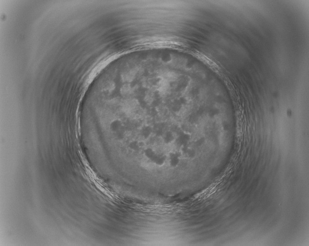 X0000053061031200508081149