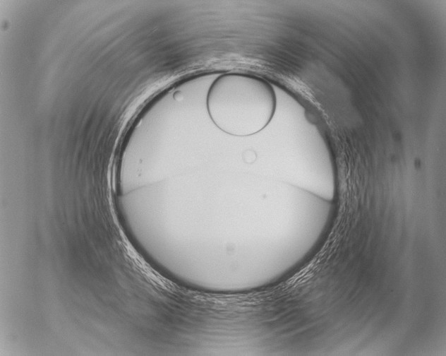 X0000053061032200508081149