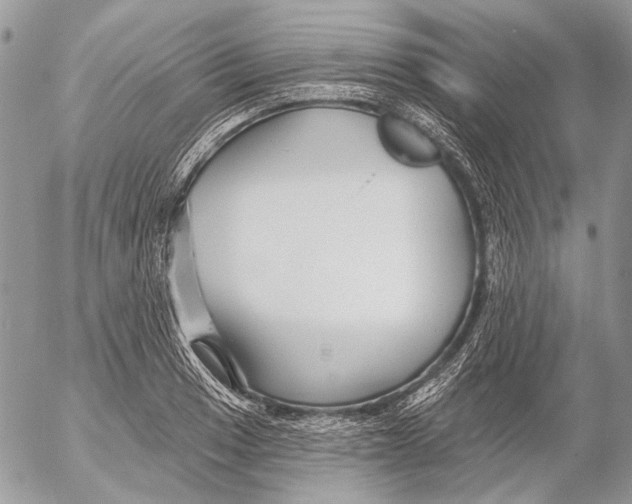 X0000053061033200508081149