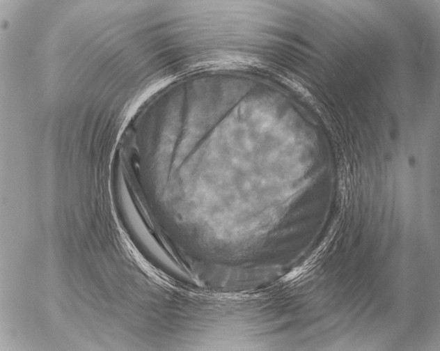 X0000053061034200508081149