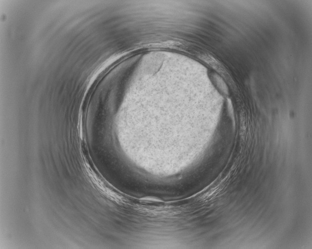 X0000053061036200508081149