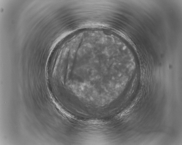 X0000053061037200508081149