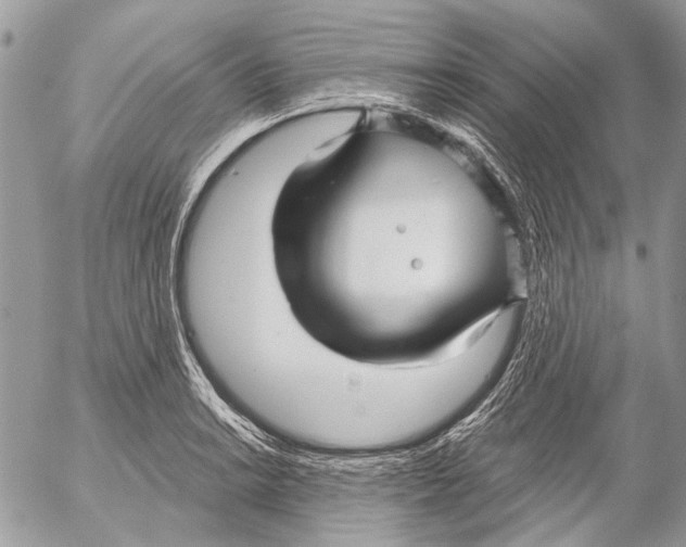 X0000053061038200508081149