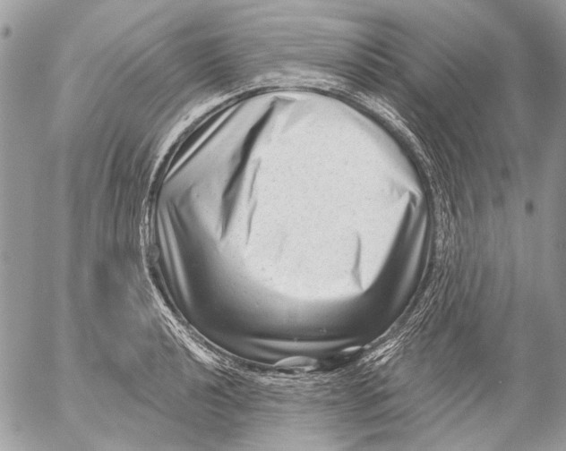 X0000053061040200508081149