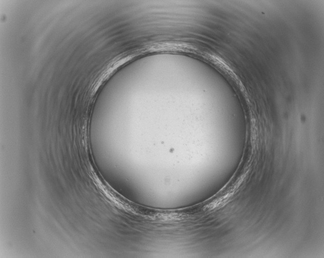 X0000053061041200508081149