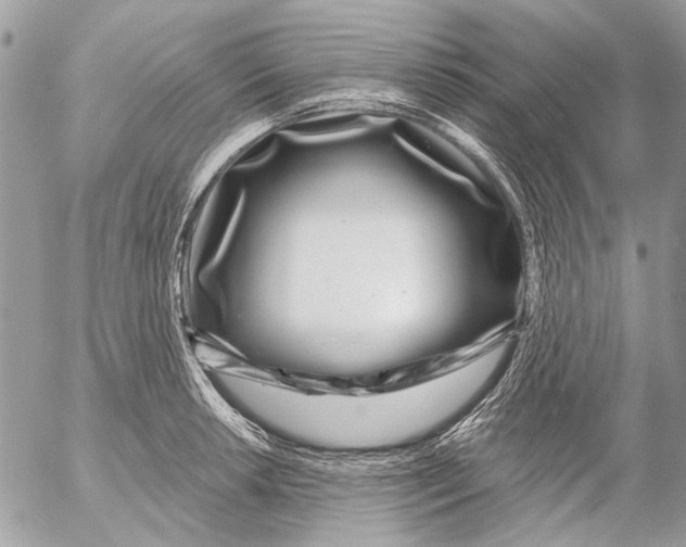 X0000053061042200508081149