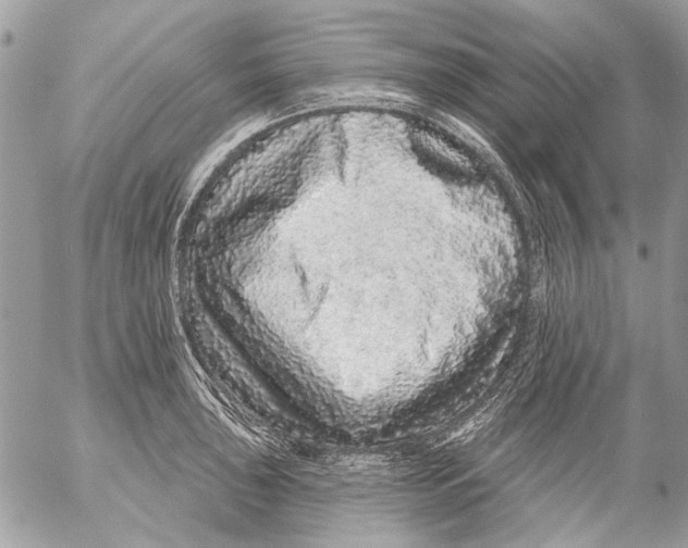 X0000053061043200508081149